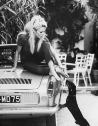 Brigitte Bardot on Car Meme Template