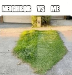 neighbor vs my lawn Meme Template