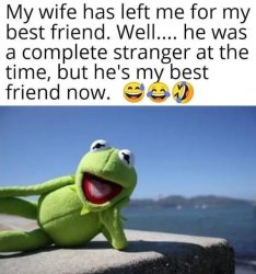 Kermit Meme Template