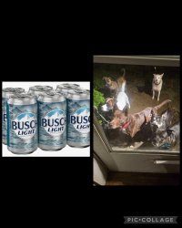 6 pack Meme Template