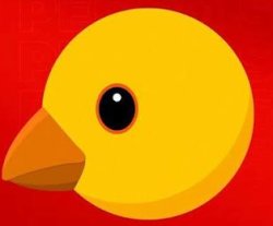 Pollo roberto contreras Meme Template