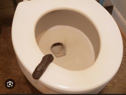 Toilet Meme Template