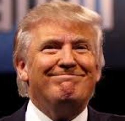 donaldgree Meme Template