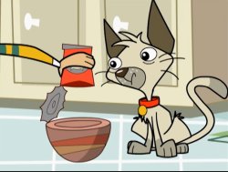 Cat Food Meme Template