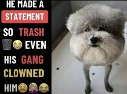 He made a statement so trash (updated) Meme Template