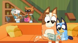 Unicorse Lawyer Meme Template