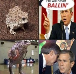 He will never ballin frog george bush Meme Template