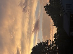 Grammy sam Meme Template