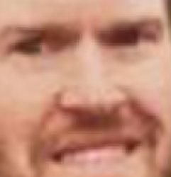 Investor scrutiny Meme Template