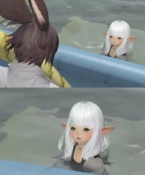 Lalafell of the Pool, what is your wisdom? Meme Template