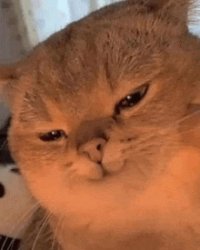 Evil cat Meme Template