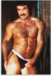 Magnum PI Meme Template