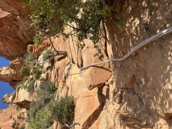 El Cap AZ Meme Template