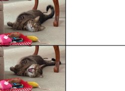 Sunny Dislike Meme Template