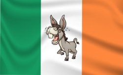 you donkey Meme Template