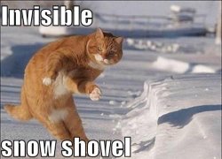 Cat Shovelling Invisible Snow Meme Template