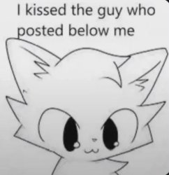 I kissed the guy who posted below me Meme Template