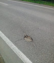 Road work fail Meme Template