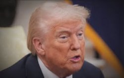 Donald Village Idiot Trump Meme Template