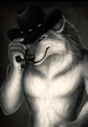 wolf with hat meme Meme Template
