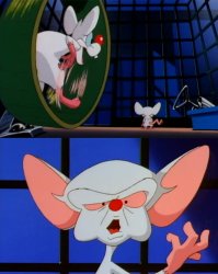 Pinky and the Brain Meme Template