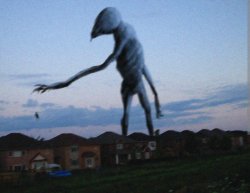 SCP-2943-LR Meme Template