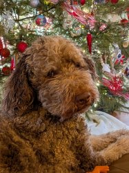 Merry Side Eye Meme Template