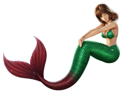 Merfujiko Meme Template