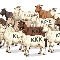 JPP KKK Krazy Kookie Klub Goat herd Meme Template