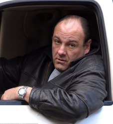 Tony Soprano in car Meme Template