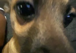 When bro has enough Meme Template