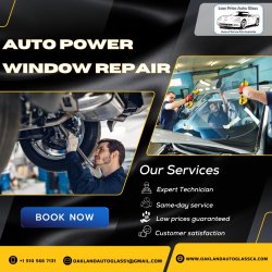 Auto Power Window Repair Meme Template