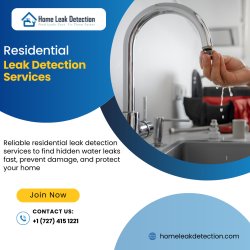 Residential Leak Detection Services Meme Template