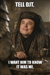 Elon Musk DJT Meme Template