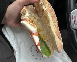 Half Empty Sandwich Meme Template