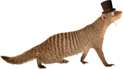 Gef (Paleoverse + EOIverse) Meme Template