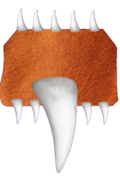 Infected horse legs Meme Template