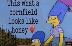 this is what a cornfield looks like honey ? Meme Template