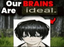 Our brains are ideal Meme Template