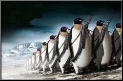 Armed Penguins Meme Template