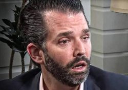 Donald Trump Jr. high wasted drugs cocaine Meme Template