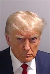 WANTED Meme Template