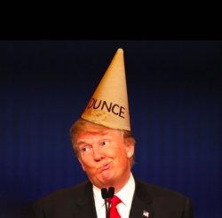 Dummy trump Meme Template