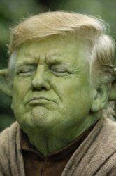 Yoda Donald Trump Meme Template