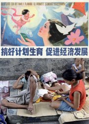 cardboard Meme Template