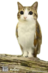 slopiest meme Meme Template