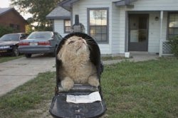 Chrisjoines1 Meme Template