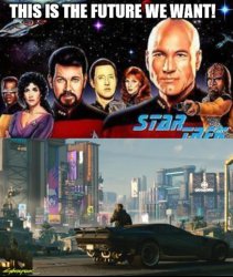 The future we wanted Meme Template