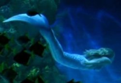 June Mermaid Meme Template