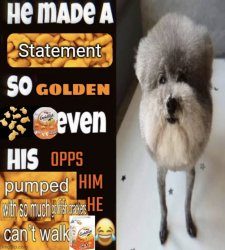 he made a statement goldfish crackers Meme Template